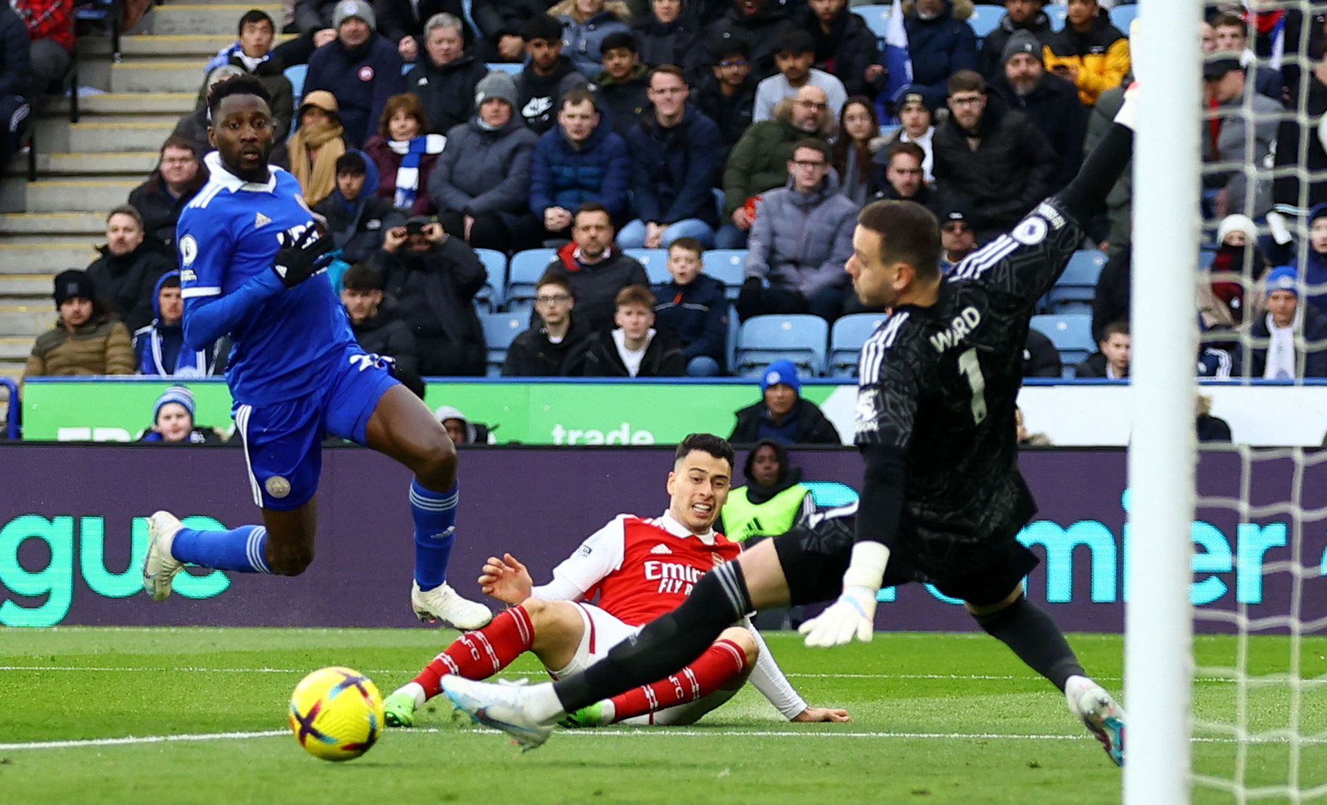 的波兰羽毛 的波兰羽毛